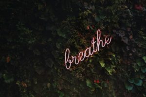 coaching and yang blog